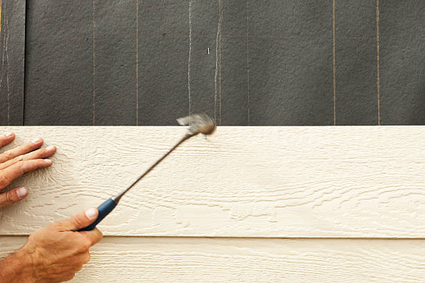 Best Storm Damage Siding Repair  in Cross Plains, TN